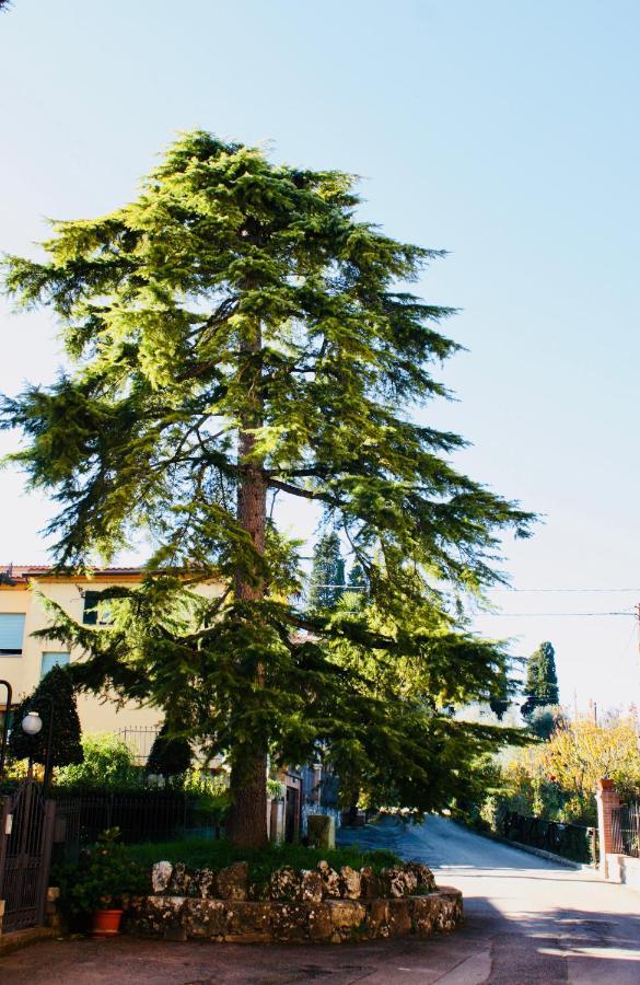 La Torre Di Caprera Apartment Siena Ngoại thất bức ảnh